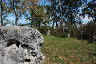 cromlech-neuf-pierres-albret-tourisme-84