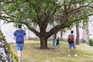 visite-famille-m-zin-5-sd-113 visite-famille-m-zin-5-sd-113